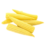 Fresh Thai Baby Corn