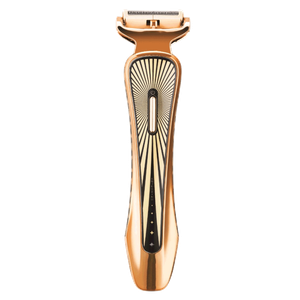 Paiter Rechargeable Body Groomer