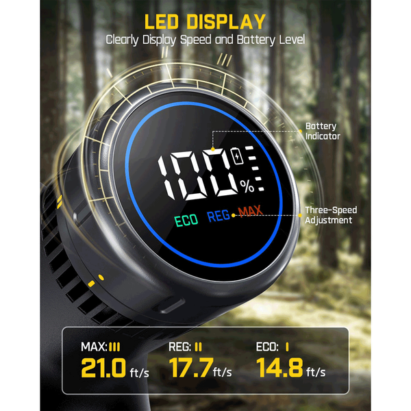 Carousel Main Image 4