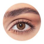 Bella One Day Almond Brown Contact Lenses