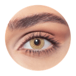 Bella One Day Hazel Beige Contact Lenses