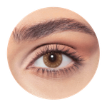 Bella One Day Hazel Honey Contact Lenses