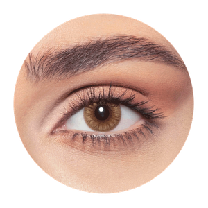 Bella One Day Hazel Honey Contact Lenses