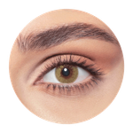 Bella Elite Silky Gold Contact Lenses