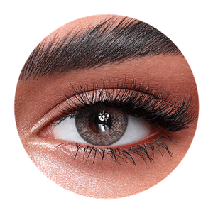 Bella One Day Rosewood Contact Lenses