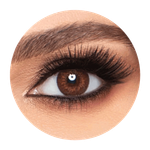 Freshlook Colorblends Brown Contact Lenses