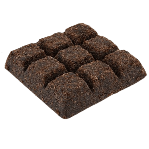 Carousel Main Image 2