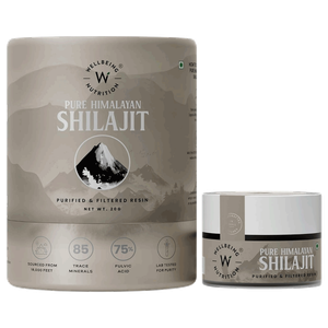 راتنج شيلاجيت الهيمالايا من ويلبيينج نيوترشن