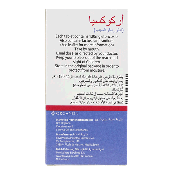 Carousel Main Image 2