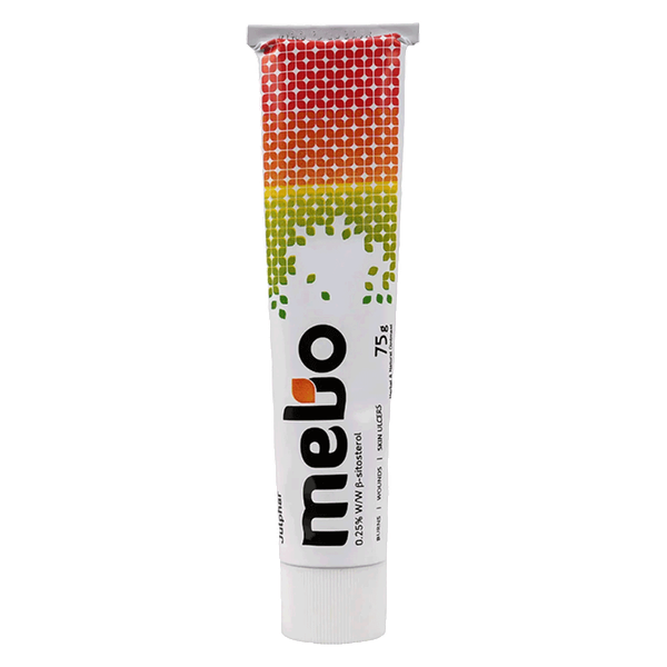 Carousel Main Image 2