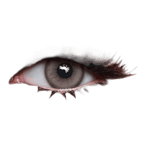 Amara One Day Honey Contact Lenses