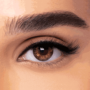 Freshlook One Day Color Pure Hazel Daily Contact Lenses