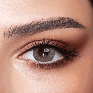 Bella One Day Color Rosewood Daily Contact Lenses