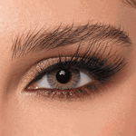 Bella One Day Color Alora Daily Contact Lenses