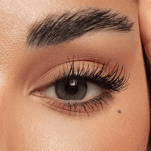 Amara Monthly Lovely Forever Chai Contact Lenses