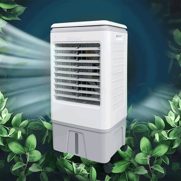 Carousel Main Image 4