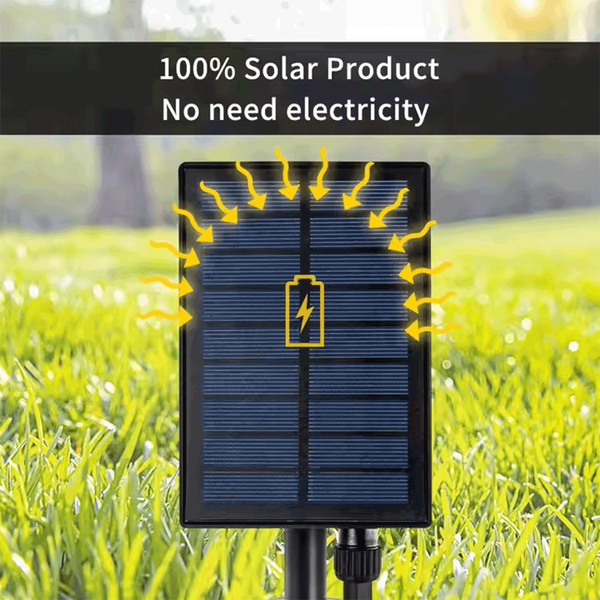 Carousel Main Image 6