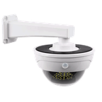 Chinatown Solar Light with Remote Control