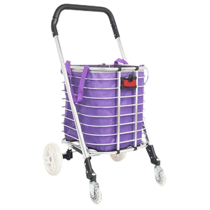 عربة تسوق قابلة للطي مع حقيبة تنظيم وحمل من تشاينا تاون