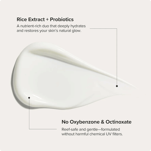 Carousel Main Image 4