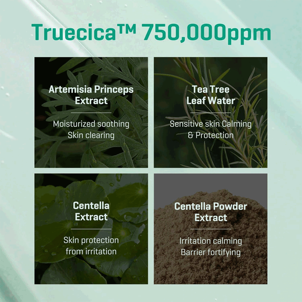 Carousel Main Image 3