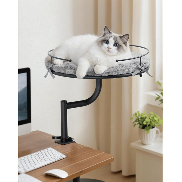 Carousel Main Image 2