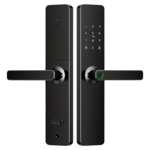 Chinatown Smart Door Lock