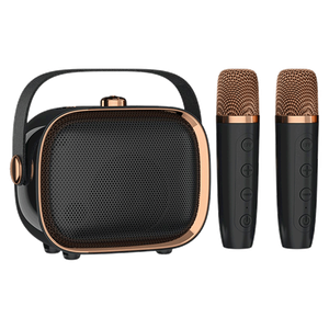 مكبر صوت كاريوكي محمول من تشاينا تاون