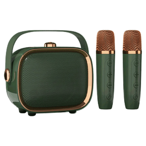 مكبر صوت كاريوكي محمول من تشاينا تاون