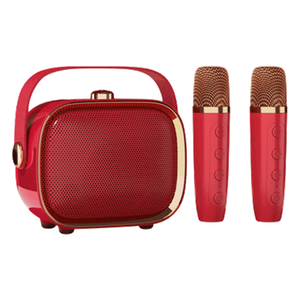 مكبر صوت كاريوكي محمول من تشاينا تاون