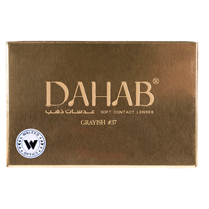 Dahab Grayish Monthly Contact Lenses