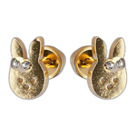 Lustrous Medical Earings