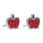 Lustrous Medical Earings