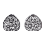 Lustrous Medical Earings