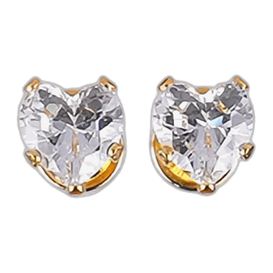 Lustrous Medical Earings