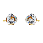 Lustrous Medical Earings