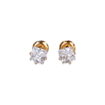 Lustrous Medical Earings