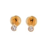 Lustrous Medical Earings