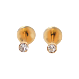 Lustrous Medical Earings