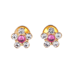 Lustrous Medical Earings