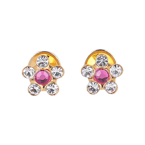 Lustrous Medical Earings