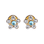 Lustrous Medical Earings
