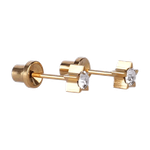Lustrous Medical Earings