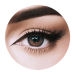 Amara One Day Shark Grey Contact Lenses