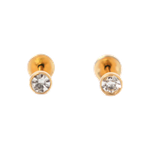 Lustrous Medical Earings