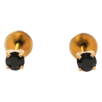 Lustrous Medical Earings