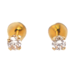 Lustrous Medical Earings