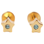 Lustrous Medical Earings