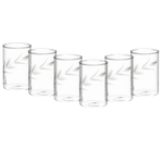 Borosil Creeper Vision Glass Set