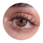 Urban Layer Olivia Brown Yearly Contact Lenses